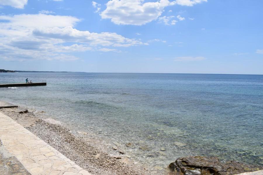 Apartment Matea Novigrad Istria 外观 照片