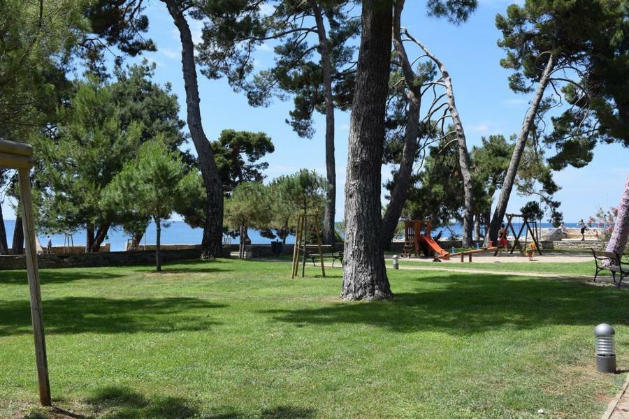 Apartment Matea Novigrad Istria 外观 照片