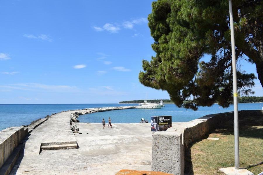 Apartment Matea Novigrad Istria 外观 照片